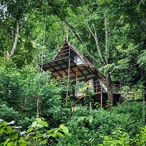 Sunset Valley Kerala Pool - Monsoon Forest In Idukki With Private Waterfalls, Natural Streams & Breathtaking Views Pirmed
